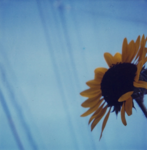 20050918sx01.jpg